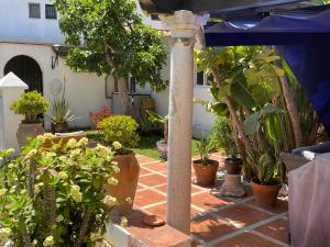 A garden outside Terra Aloé