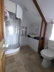 a bathroom with a shower and a toilet and a sink at Chyheira in Ruan Minor