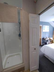 a bathroom with a shower next to a bed at Chyheira in Ruan Minor