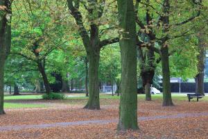 Φωτογραφία από το άλμπουμ του Maison Au Parc στο Μάαστριχτ +21 φωτογραφίες