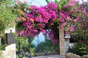 a bunch of flowers hanging from an archway at Nur Hotel in Kaş