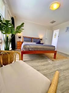 a bedroom with a bed and a plant in a room at Beach House Opposite Ocean 4 Bed 2 Bathroom with pool in Geraldton +14 photos