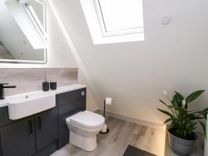 een badkamer met een toilet, een wastafel en een raam bij Brecknock Cheviot - The Sheepfold in Llandrindod Wells