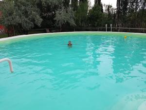 a person swimming in a large blue swimming pool at Chalet Los Troncos in San Rafael