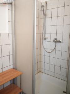a shower with a glass door in a bathroom at Ferienwohnung Zur Weißen Taube in Dobbertin