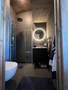 een badkamer met een douche, een wastafel en een toilet bij Attraktiv & smart funkishytte på Nes Strandhager. in Årnes