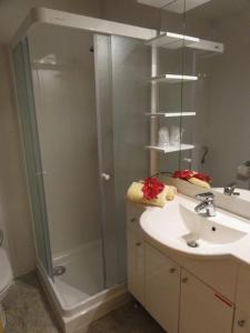 La salle de bains est pourvue d'une douche et d'un lavabo. dans l'établissement Apartment Katrca Kranjska Gora, à Kranjska Gora