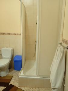 a bathroom with a shower and a toilet at ЕДЕЛЬВЕЙС in Snyatyn