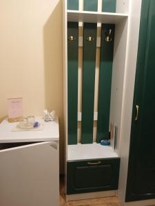 a bathroom with a green and white cabinet next to a refrigerator at ЕДЕЛЬВЕЙС in Snyatyn