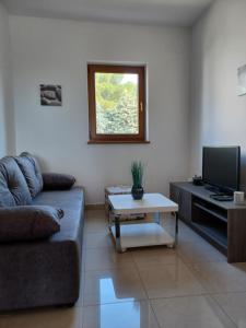 a living room with a couch and a tv at Be-Bu-Mar Apartments in Sveti Filip i Jakov