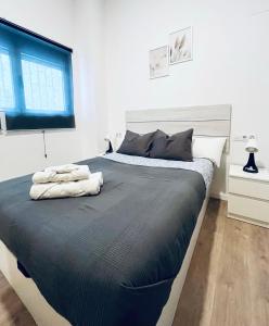 a large bed in a bedroom with a window at Vivienda Turística las Ciencias in Valencia