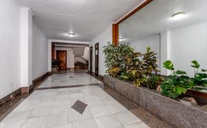 Kép Apartamento Turquesa, 50m to Playa del Cura, Torrevieja szállásáról Torreviejában a galériában