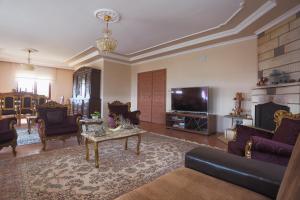 特拉布宗的住宿－Çağlar Villası，带沙发和电视的客厅