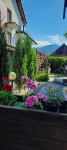 un jardin fleuri avec des fleurs roses dans une cour dans l'établissement Apartament Asenata Ustroń Centrum dwupokojowy parter, à Ustroń