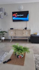 sala de estar con TV en la pared en Sonop in Marloth Park, en Marloth Park