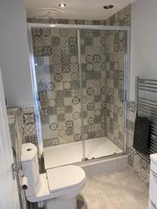 a bathroom with a shower and a toilet at Luxury Mumbles View Studio Apartment in Swansea