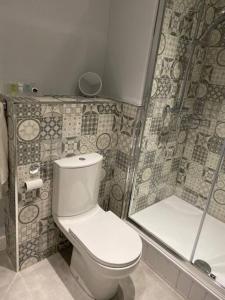 a bathroom with a toilet and a shower at Luxury Mumbles View Studio Apartment in Swansea