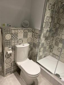 スウォンジーにあるLuxury Mumbles View Studio Apartmentのトイレとシャワー付きのバスルーム +9枚の写真