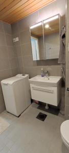 a bathroom with a sink and a toilet and a mirror at Ruby studio 5min to Vantaa Airport and 20min to Helsinki center in Vantaa