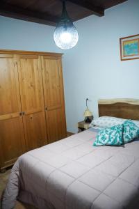 1 dormitorio con 1 cama y armario de madera en Caseta Montanyana, en Deltebre