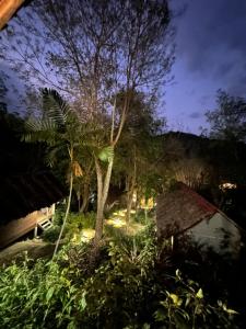 un jardín por la noche con un árbol y luces en Koh Mook Mountain view en Ko Mook