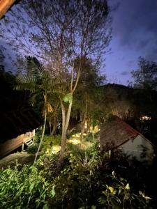 a garden at night with a tree and lights at Koh Mook Mountain view in Koh Mook
