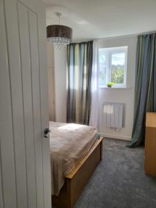 een slaapkamer met een bed, een raam en een kroonluchter bij Nice in Torquay