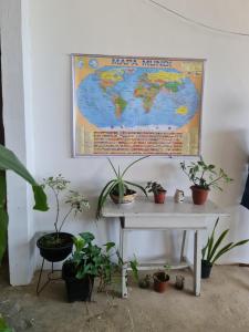 a map of the world hanging on a wall with plants at Hostel Sol & Mar in Rio de Janeiro