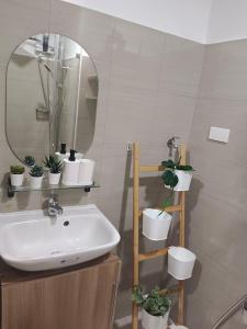 a bathroom with a sink and a mirror and potted plants at Resort Style Condo Walkable to Mall of Asia in Manila
