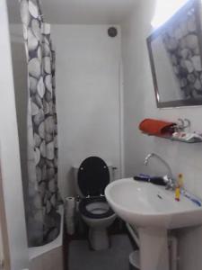 La petite salle de bains est pourvue de toilettes et d'un lavabo. dans l'établissement Marseille t2 de charme, à Marseille