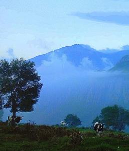 Splošen pogled na gorovje oz. razgled na gore, ki ga ponuja lovska koča