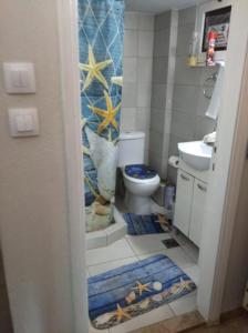 塞薩羅尼基的住宿－Nasos Cozy Place，一间带卫生间和水槽的浴室和地板地毯。
