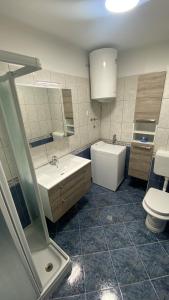 een badkamer met een wastafel en een toilet bij Apartment Ohana in Medulin
