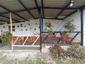 a patio with flowers and plants in a building at El ZORZAL in Salento +93 photos