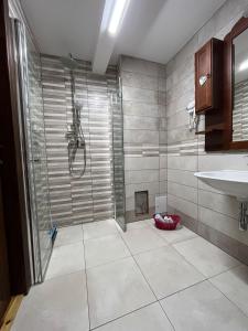 a bathroom with a shower and a sink at Casa Muchia lui Gîrniță in Braşov +40 photos