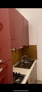 uma pequena cozinha com um lavatório e um fogão em Mazzini Apartment em Cosenza