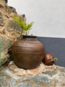 un jarrón marrón con una planta al lado de una pared en casa rural la tramonera en San Esteban de la Sierra