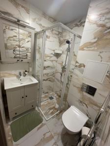 uma casa de banho com um chuveiro, um WC e um lavatório. em MB Livinga Vieno miegamojo apartamentai Ventos g em Mažeikiai