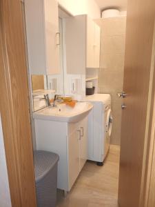 La petite salle de bains est pourvue d'un lavabo et de toilettes. dans l'établissement Kuća za odmor Varoš, à Vrlika