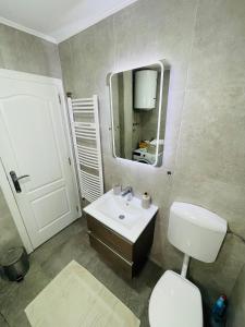 a bathroom with a sink and a toilet and a mirror at Muki apartments in Surčin