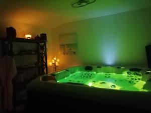 een groen bad in een groene kamer bij l'intant zen naturiste in Fresnay-en-Retz