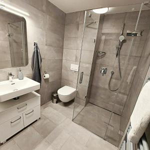 a bathroom with a shower and a toilet and a sink at Apartmán Na kraji lesa in Janov nad Nisou