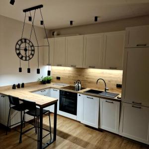 Kuchyň nebo kuchyňský kout v ubytování Apartament Studio