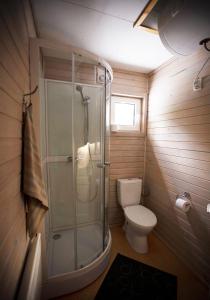 a small bathroom with a shower and a toilet at Kempings Ozolkalns in Cēsis