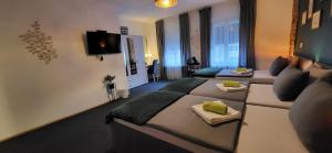 TV a/nebo společenská místnost v ubytování Rooms BAUMAN