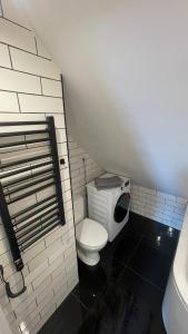 a small bathroom with a toilet and a sink at Apartament Loft in Elblag