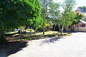a yard with a table and chairs and trees at Colonial Motel in Omeo