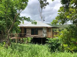 a house in the middle of a field with trees at Tree House Luxe in Saint Annʼs Bay