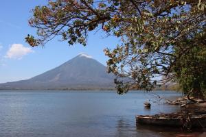 vistas a una montaña desde un lago con un árbol en La Sirenita - Ometepe en Altagracia