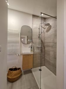 a bathroom with a shower and a mirror at Le Saint Christophe - Mairie d'Aubervilliers ligne 12 in Aubervilliers